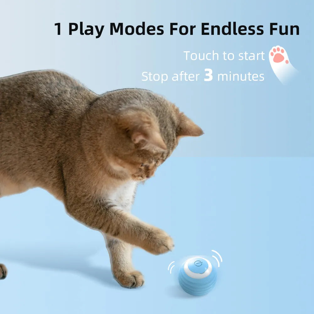 Interactive Magic Ball for Pets