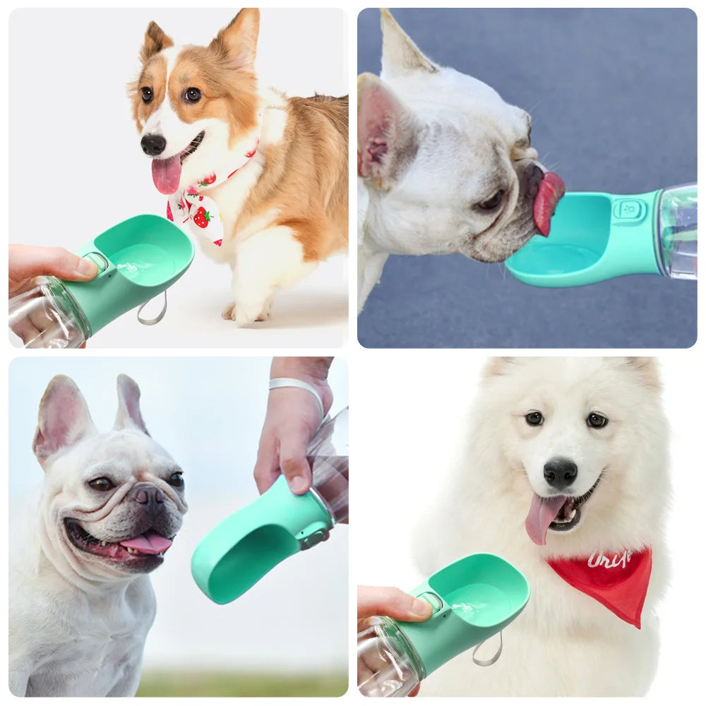 Multi-Purpose Dog Water Bottle