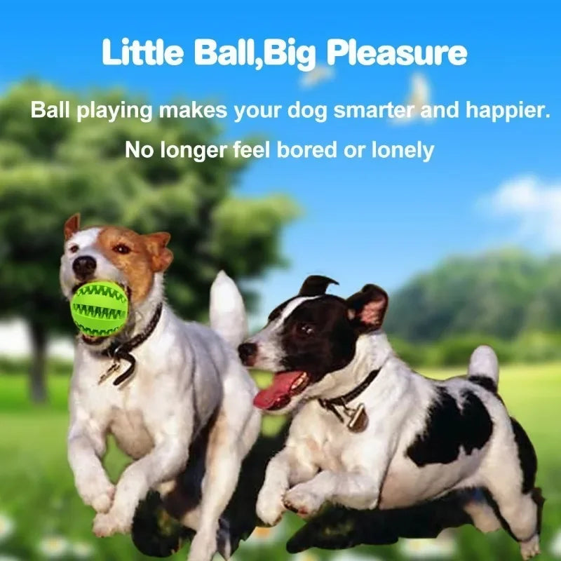 Rubber Dog Ball