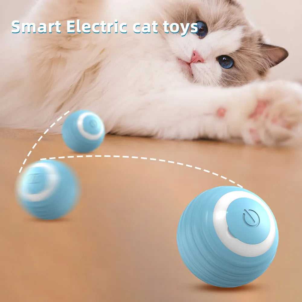 Interactive Magic Ball for Pets